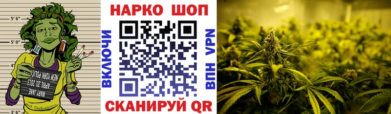 МЕФ Ноябрьск