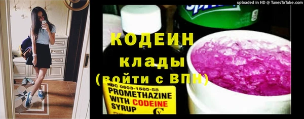 дмт Арсеньев