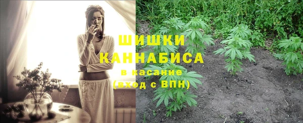 дмт Арсеньев